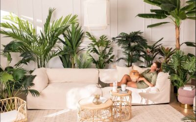 Zielony sposób na wilgoć w mieszkaniu