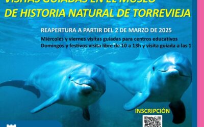 Bezpłatne wycieczki z przewodnikiem po Muzeum Historii Naturalnej w Torrevieja